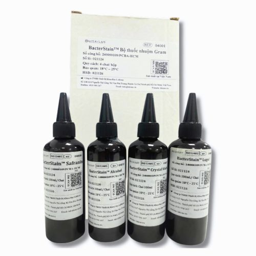 BacterStain™ Bộ thuốc nhuộm Gram