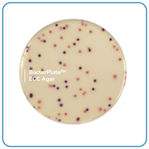 BacterPlate™ ECC Agar