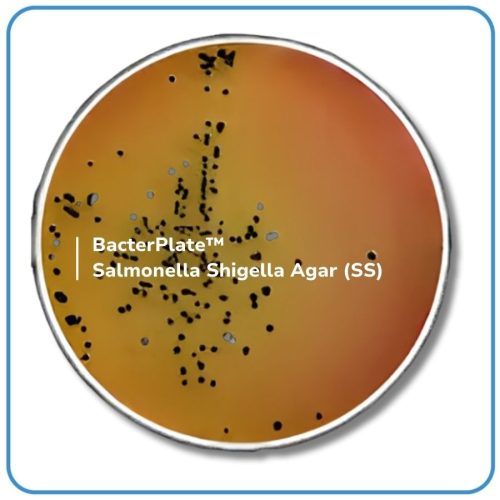 BacterPlate™ Salmonella Shigella Agar (SS)
