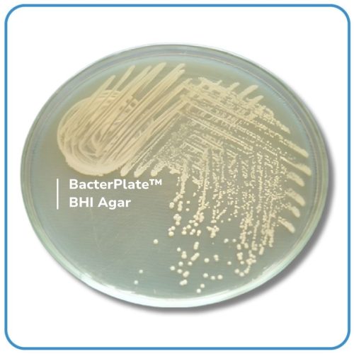BacterPlate™ BHI Agar
