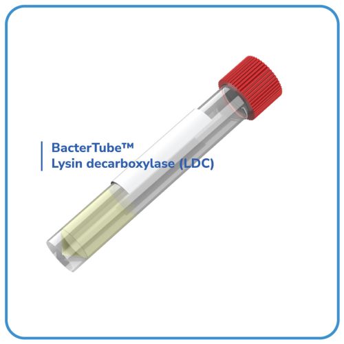 BacterTube™ Lysin decarboxylase (LDC)