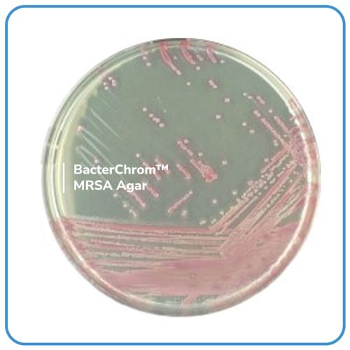 BacterChrom™ MRSA Agar
