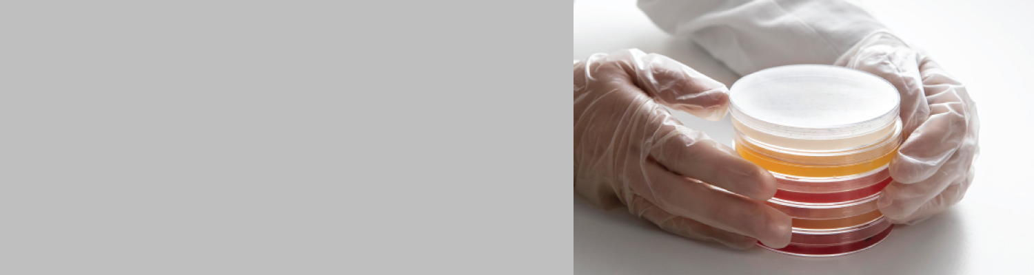 Môi trường vi sinh