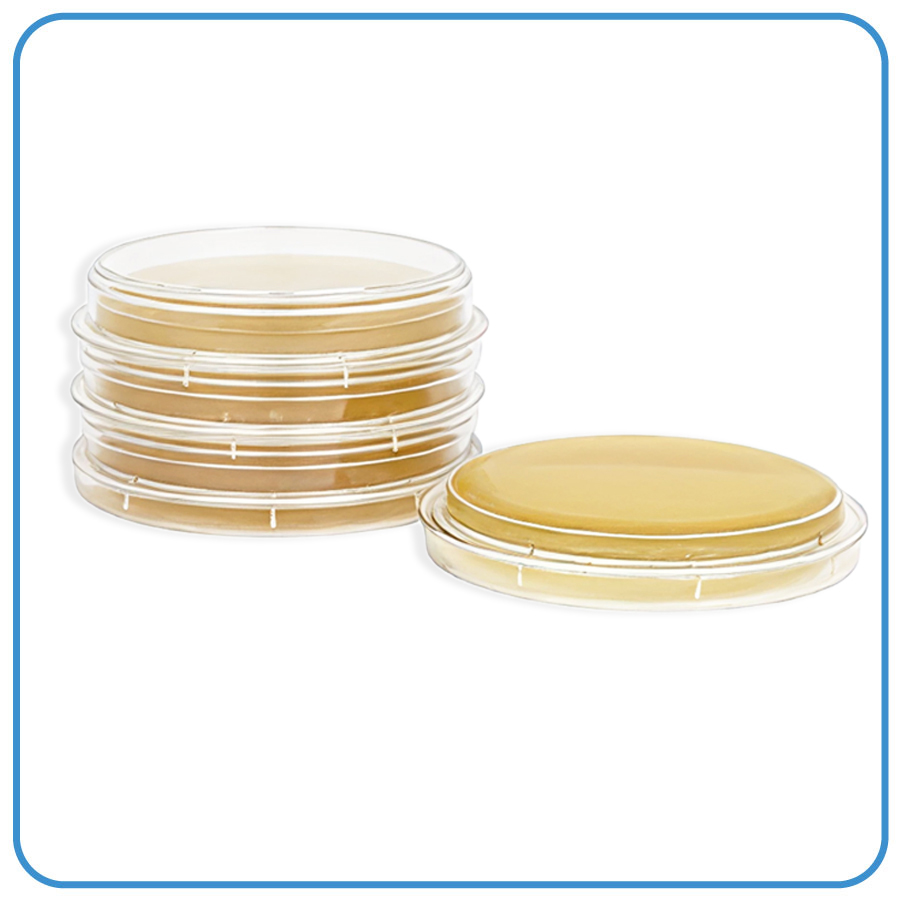 BacterContact™ Sabouraud CAF Agar + Penase + Cephalosporinase + Neutralizing