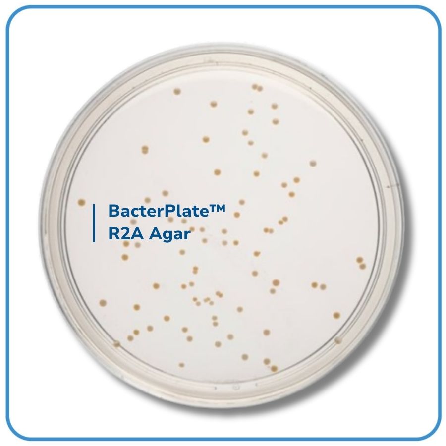 BacterPlate™ R2A Agar